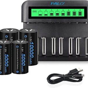 CITYORK Cargador de Baterías AA AAA C D con Pantalla LCD - Kit de Carga de Alto Rendimiento