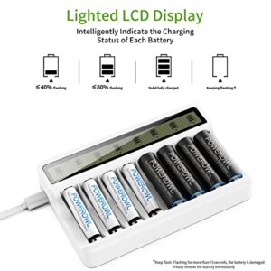Cargador de Pilas Recargables AA AAA POWEROWL con 8 Ranuras y Pantalla LCD