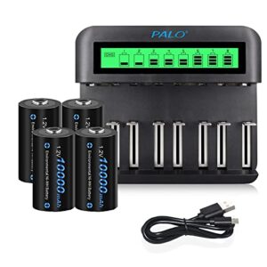 Cargador de batería universal LCD CITYORK para 8 AA/AAA o 4 C/D, con Fast Charger y 4 pilas D de 10000 mAh